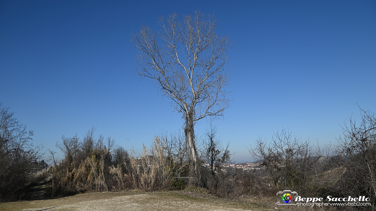 VBS_0708 - Madonna dei Boschi - Vezza d'Alba.jpg